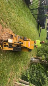 image11.jpeg